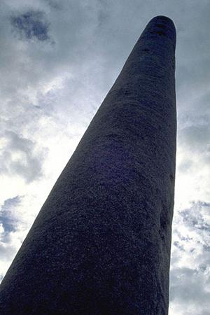 色々な味付けができる調味料シーズニング